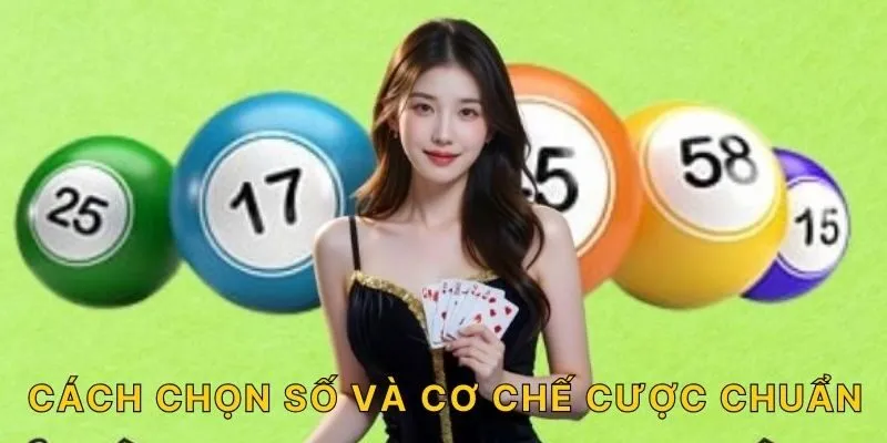 Cách chọn số và cơ chế cược chuẩn
