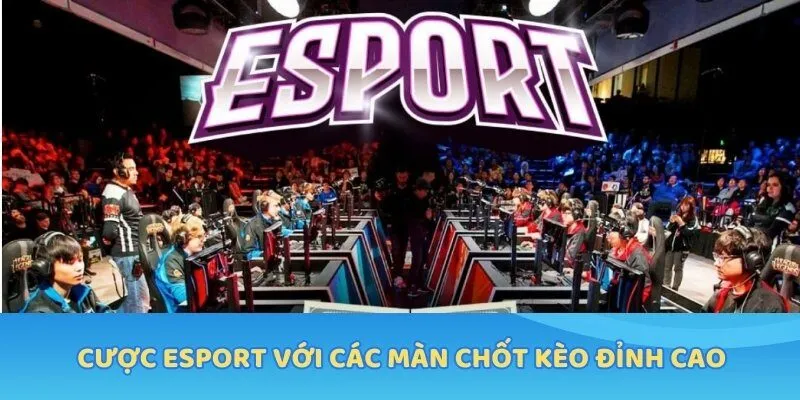 Cược Esport với các màn chốt kèo đỉnh cao