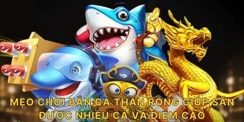 Mẹo chơi bắn cá thần rồng giúp săn được nhiều cá và điểm cao