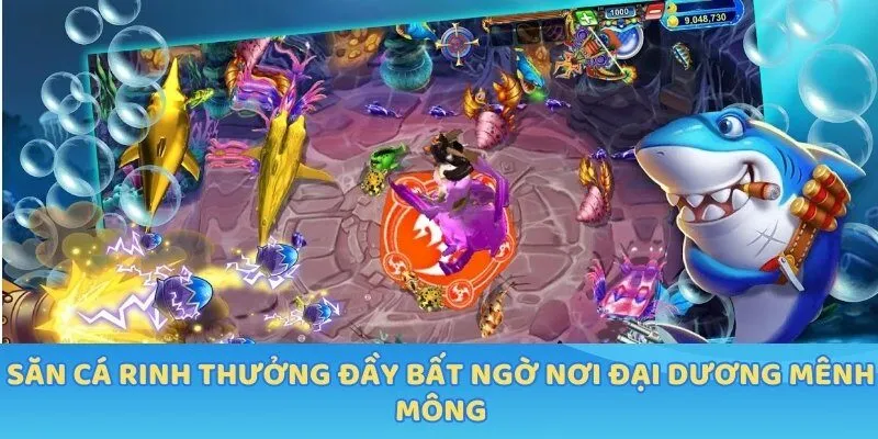 Săn cá rinh thưởng đầy bất ngờ nơi đại dương mênh mông